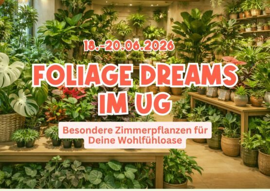 FOLIGAE DREAM KOMMT ZURÜCK INS FORUM